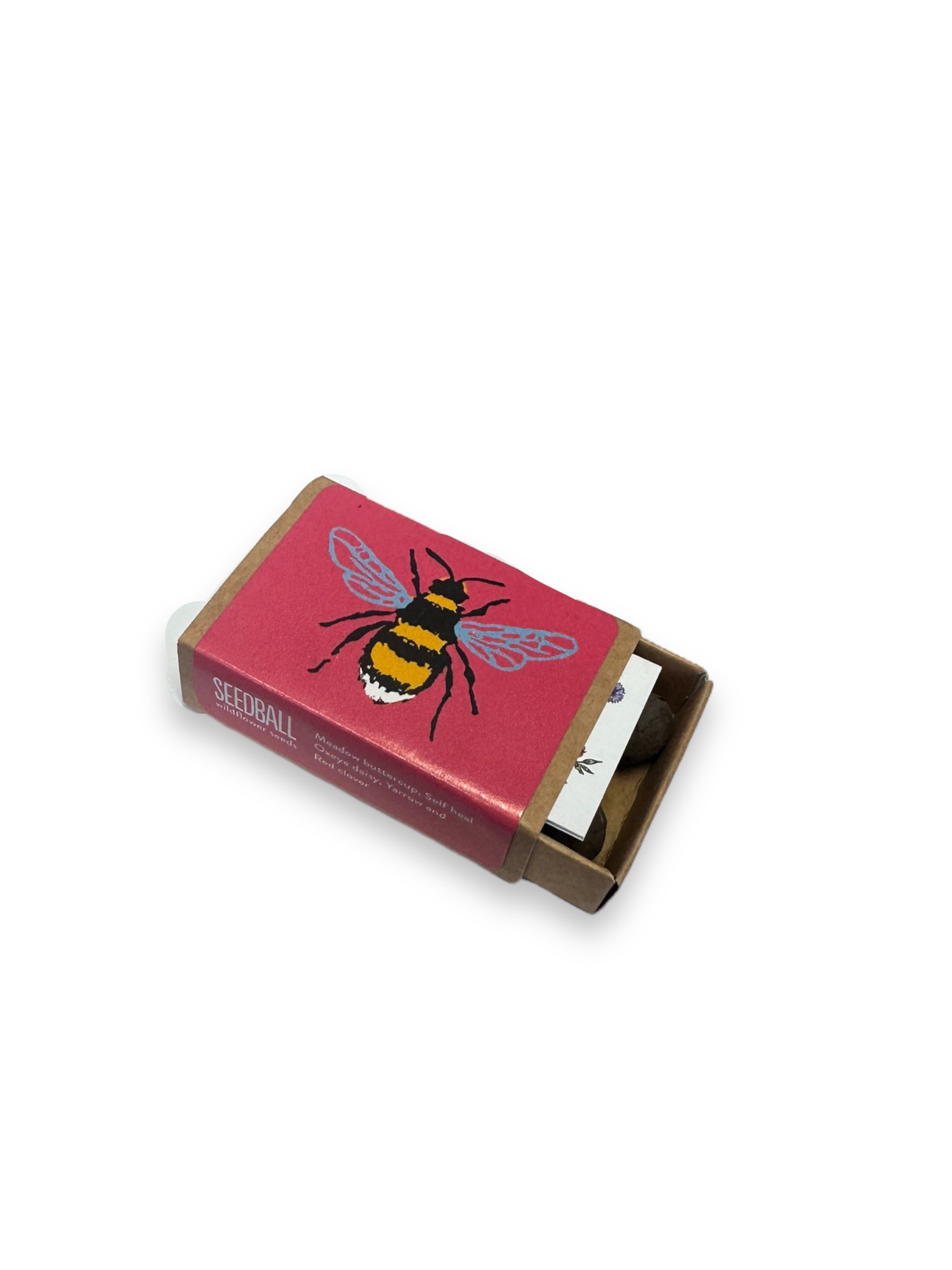 Seedball Bee Boxes Pink